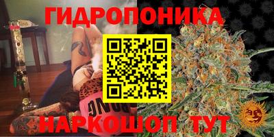 не бодяженный Можга
